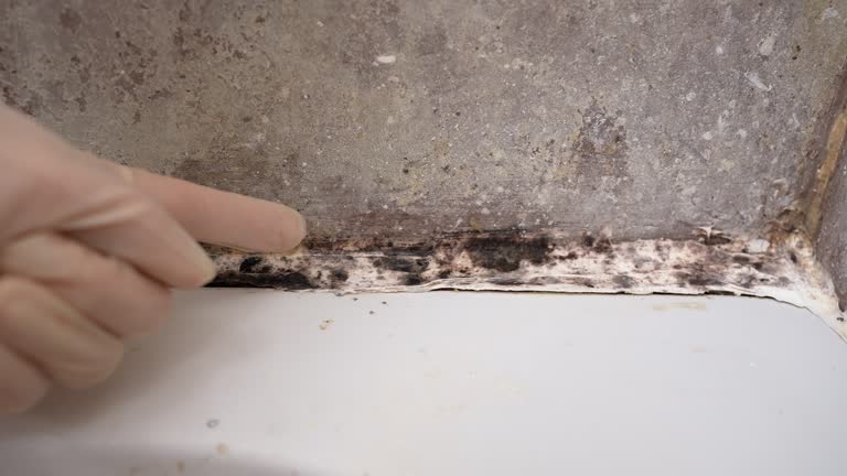 Mold Remediation for Vacation Homes in Pearson, GA